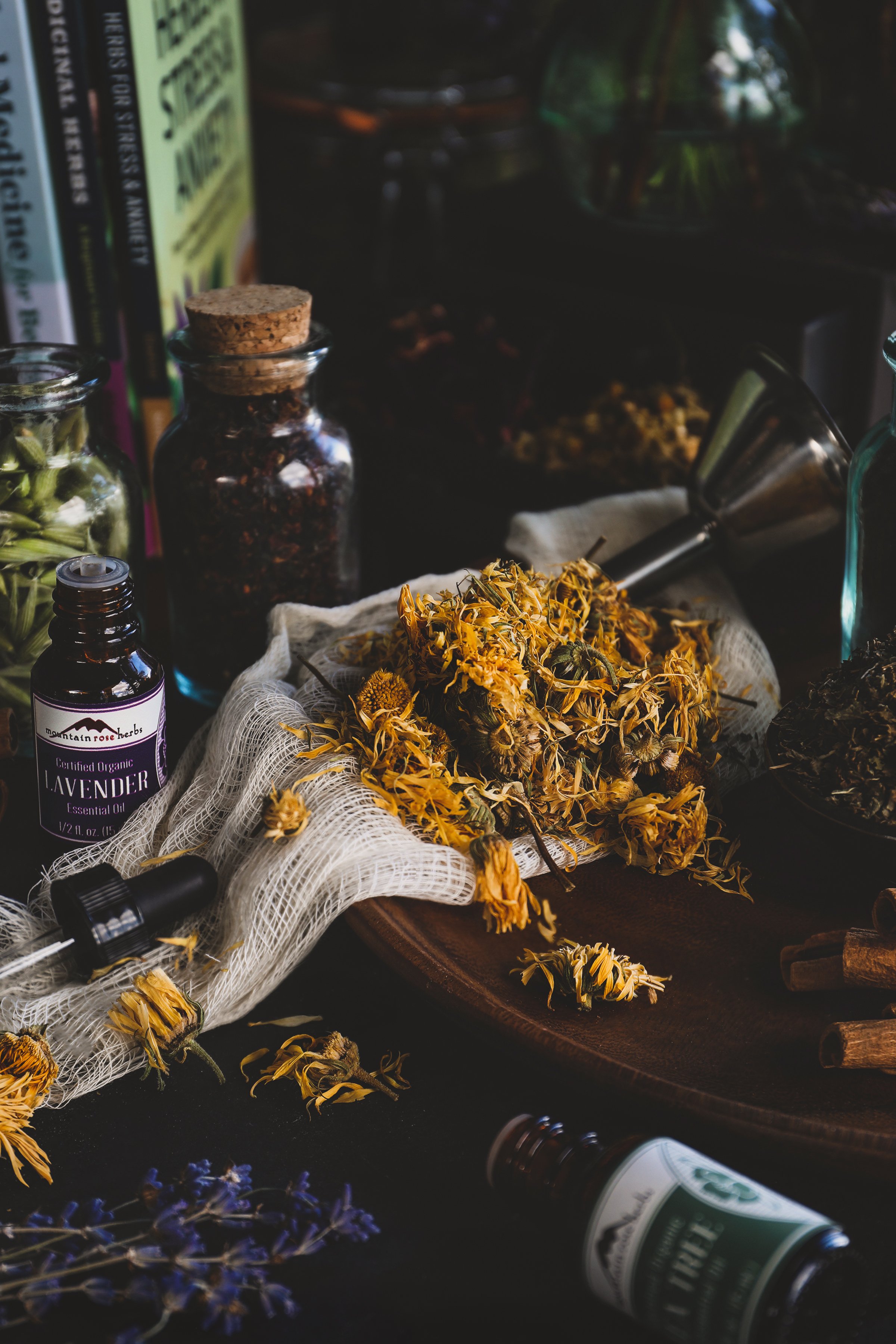 A Beginner's Guide To Herbalism